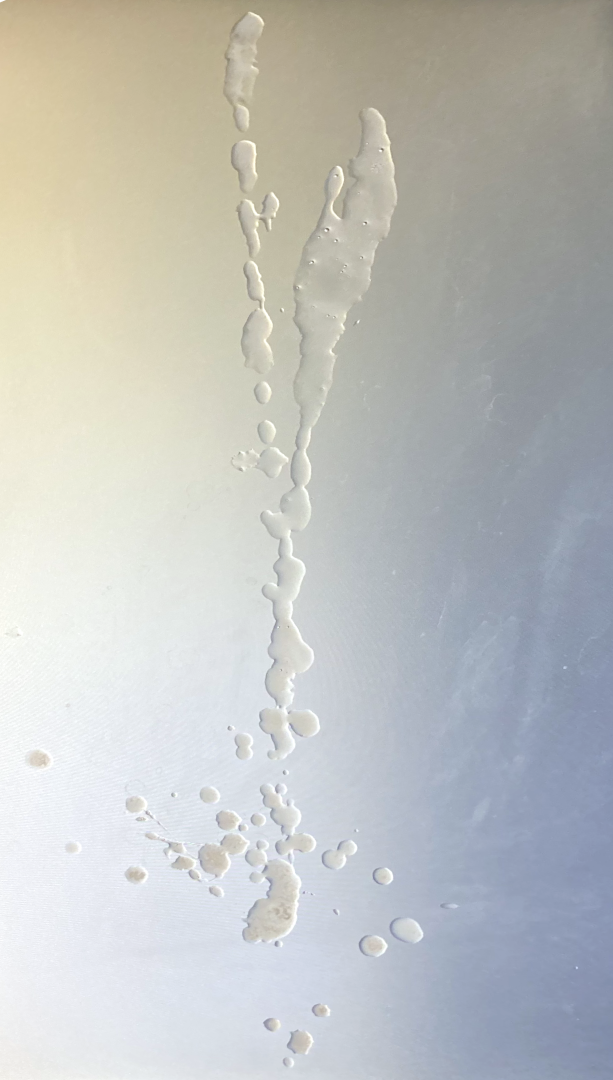 xZtBT4aU big load for Emma Watson 03.png